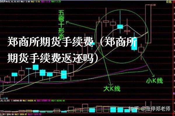 郑商所期货手续费（郑商所期货手续费返还吗）_https://www.boyangwujin.com_道指期货_第1张
