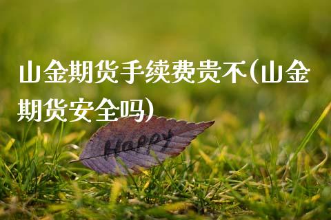 山金期货手续费贵不(山金期货安全吗)_https://www.boyangwujin.com_期货直播间_第1张