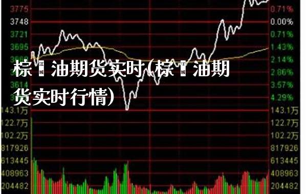 棕榈油期货实时(棕榈油期货实时行情)