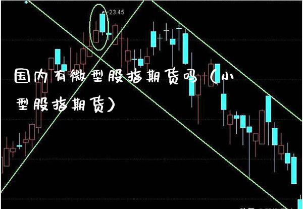 国内有微型股指期货吗（小型股指期货）_https://www.boyangwujin.com_期货直播间_第1张