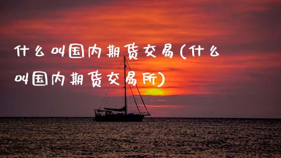 什么叫国内期货交易(什么叫国内期货交易所)_https://www.boyangwujin.com_原油期货_第1张