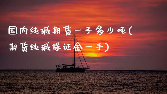 国内纯碱期货一手多少吨(期货纯碱保证金一手)