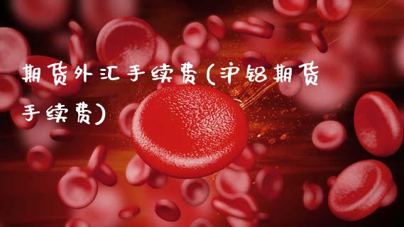 期货外汇手续费(沪铝期货手续费)_https://www.boyangwujin.com_恒生指数_第1张