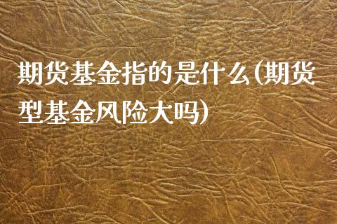 期货基金指的是什么(期货型基金风险大吗)