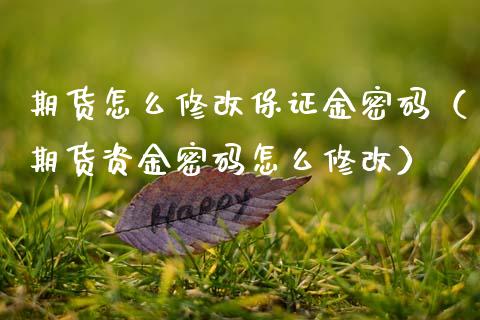 期货怎么修改保证金密码（期货资金密码怎么修改）_https://www.boyangwujin.com_道指期货_第1张