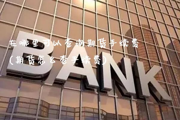 在哪里可以查询期货手续费(期货怎么查手续费)_https://www.boyangwujin.com_期货直播间_第1张