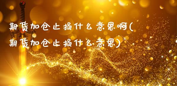 期货加仓止损什么意思啊(期货加仓止损什么意思)_https://www.boyangwujin.com_期货直播间_第1张