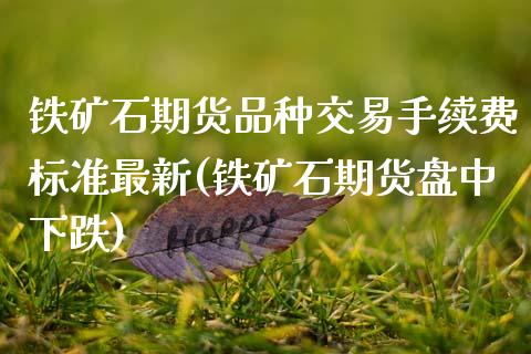 铁矿石期货品种交易手续费标准最新(铁矿石期货盘中下跌)_https://www.boyangwujin.com_原油直播间_第1张