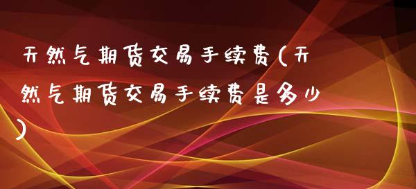 天然气期货交易手续费(天然气期货交易手续费是多少)