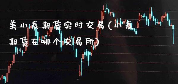 美小麦期货实时交易(小麦期货在哪个交易所)_https://www.boyangwujin.com_原油期货_第1张