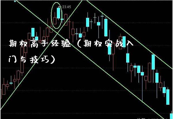 期权高手经验（期权实战入门与技巧）