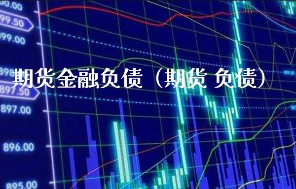 期货金融负债（期货 负债）_https://www.boyangwujin.com_期货直播间_第1张
