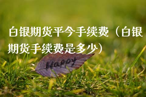 白银期货平今手续费（白银期货手续费是多少）_https://www.boyangwujin.com_期货直播间_第1张