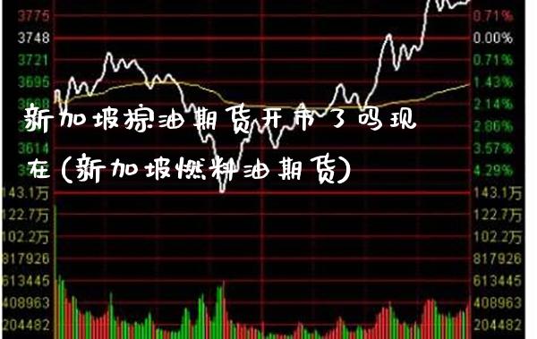 新加坡棕油期货开市了吗现在(新加坡燃料油期货)