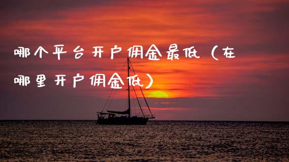 哪个平台开户佣金最低（在哪里开户佣金低）