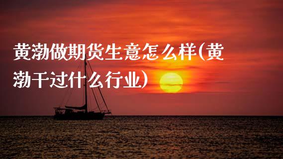 黄渤做期货生意怎么样(黄渤干过什么行业)