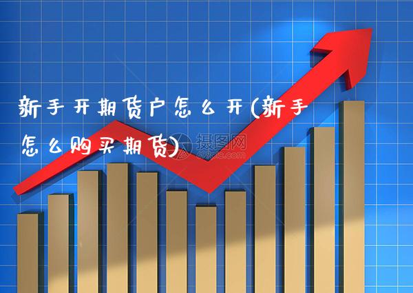 新手开期货户怎么开(新手怎么购买期货)_https://www.boyangwujin.com_恒生指数_第1张