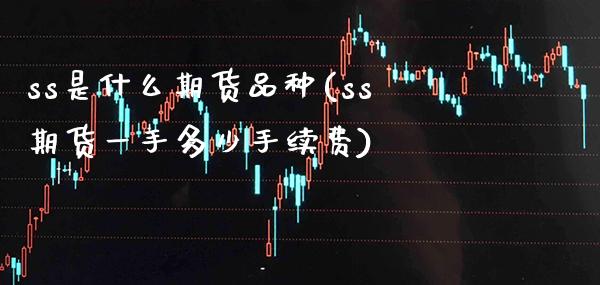 ss是什么期货品种(ss期货一手多少手续费)_https://www.boyangwujin.com_期货直播间_第1张