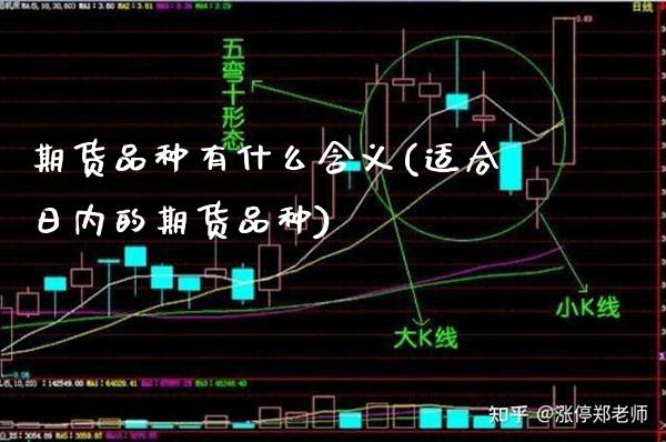 期货品种有什么含义(适合日内的期货品种)_https://www.boyangwujin.com_内盘期货_第1张