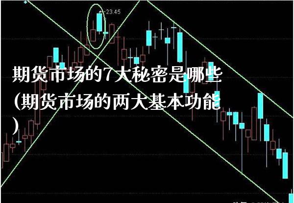 期货市场的7大秘密是哪些(期货市场的两大基本功能)_https://www.boyangwujin.com_恒生指数_第1张
