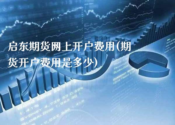 启东期货网上开户费用(期货开户费用是多少)