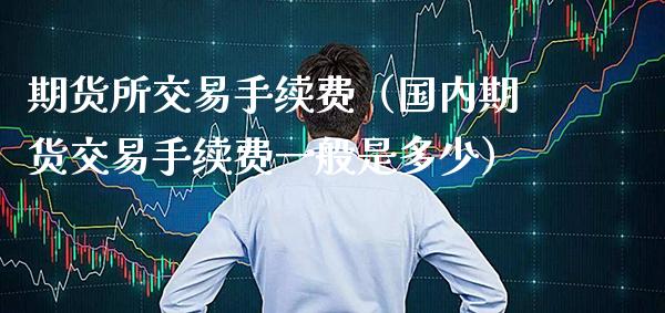 期货所交易手续费（国内期货交易手续费一般是多少）