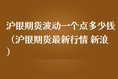 沪银期货波动一个点多少钱（沪银期货最新行情 新浪）_https://www.boyangwujin.com_期货直播间_第1张