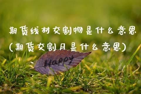 期货线材交割物是什么意思(期货交割月是什么意思)