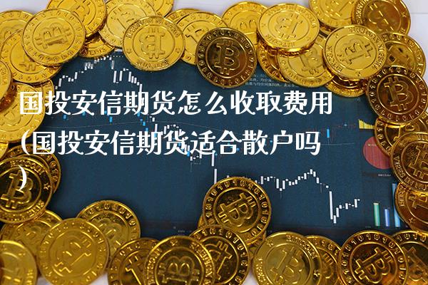 国投安信期货怎么收取费用(国投安信期货适合散户吗)
