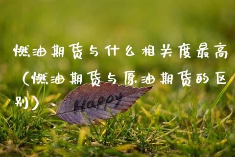 燃油期货与什么相关度最高（燃油期货与原油期货的区别）