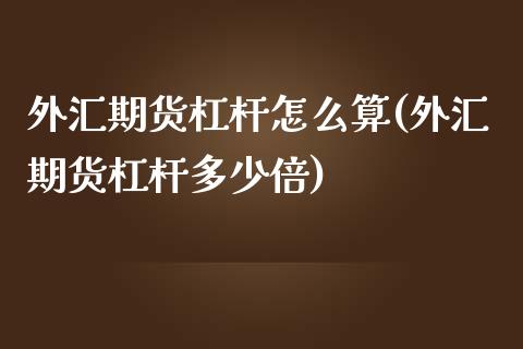 外汇期货杠杆怎么算(外汇期货杠杆多少倍)_https://www.boyangwujin.com_原油直播间_第1张