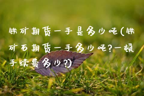铁矿期货一手是多少吨(铁矿石期货一手多少吨?一顿手续费多少?)_https://www.boyangwujin.com_期货直播间_第1张