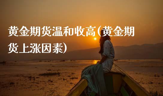 黄金期货温和收高(黄金期货上涨因素)_https://www.boyangwujin.com_期货直播间_第1张