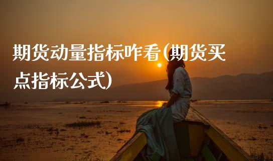 期货动量指标咋看(期货买点指标公式)