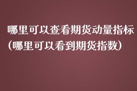 哪里可以查看期货动量指标(哪里可以看到期货指数)_https://www.boyangwujin.com_恒生指数_第1张
