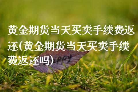 黄金期货当天买卖手续费返还(黄金期货当天买卖手续费返还吗)