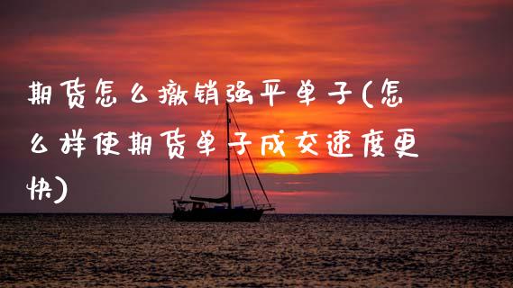 期货怎么撤销强平单子(怎么样使期货单子成交速度更快)