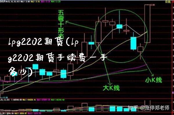 lpg2202期货(lpg2202期货手续费一手多少)_https://www.boyangwujin.com_原油期货_第1张