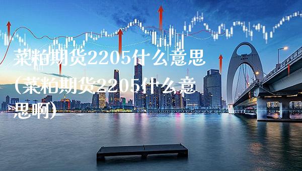 菜粕期货2205什么意思(菜粕期货2205什么意思啊)_https://www.boyangwujin.com_期货直播间_第1张