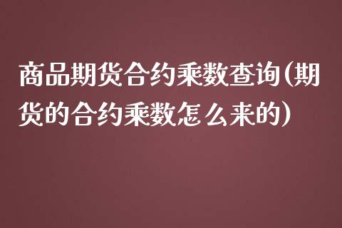 商品期货合约乘数查询(期货的合约乘数怎么来的)
