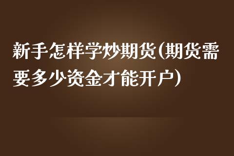 新手怎样学炒期货(期货需要多少资金才能开户)_https://www.boyangwujin.com_期货直播间_第1张