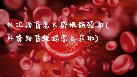 外汇期货怎么突破瓶颈期(外资期货数据怎么获取)