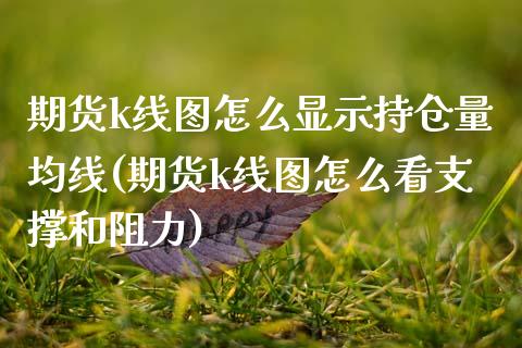 期货k线图怎么显示持仓量均线(期货k线图怎么看支撑和阻力)_https://www.boyangwujin.com_原油期货_第1张
