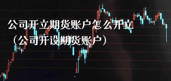 公司开立期货账户怎么开立（公司开设期货账户）_https://www.boyangwujin.com_纳指期货_第1张