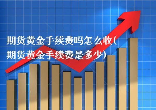 期货黄金手续费吗怎么收(期货黄金手续费是多少)_https://www.boyangwujin.com_纳指期货_第1张