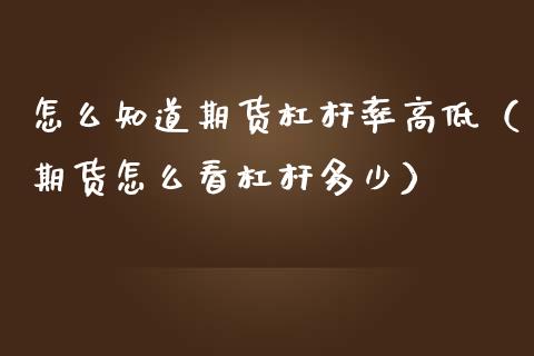 怎么知道期货杠杆率高低（期货怎么看杠杆多少）