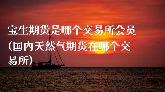 宝生期货是哪个交易所会员(国内天然气期货在哪个交易所)_https://www.boyangwujin.com_恒指期货_第1张