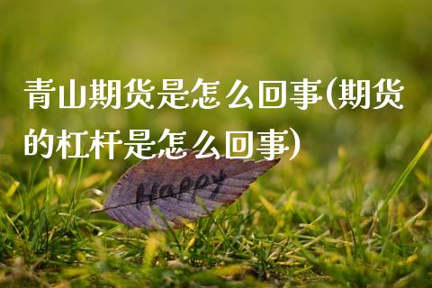 青山期货是怎么回事(期货的杠杆是怎么回事)_https://www.boyangwujin.com_原油期货_第1张