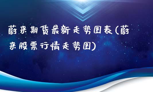 蔚来期货最新走势图表(蔚来股票行情走势图)_https://www.boyangwujin.com_恒指期货_第1张