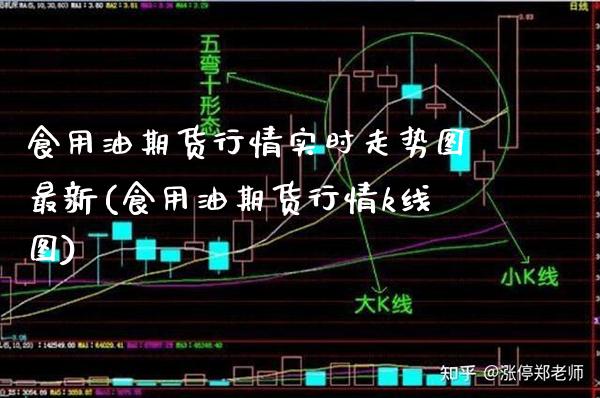 食用油期货行情实时走势图最新(食用油期货行情k线图)